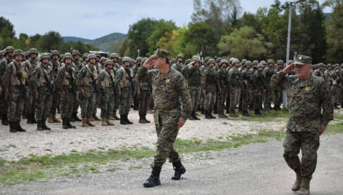 Oružane snage BiH dobile pozitivnu ocjenu NATO-a, Komšić čestitao