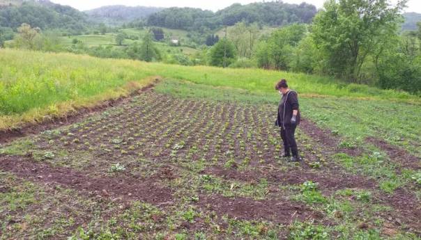 Osigurana pomoć za pokretanje poljoprivredne proizvodnje u četiri bh. općine