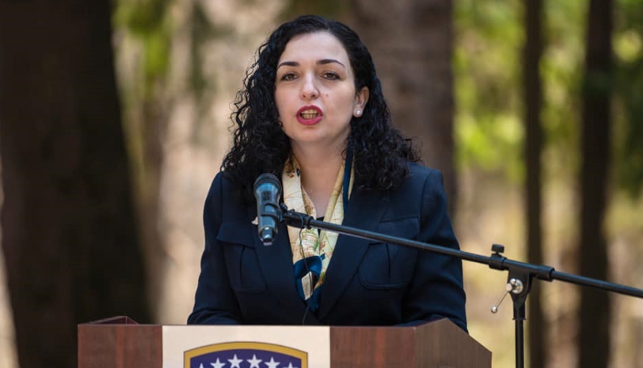 Osmani: Ruski satelit Srbija vidi BiH i Kosovo kao trenutne države