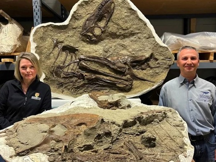Ostaci dviju beba dinosaura pronađeni unutar fosila tiranosaura
