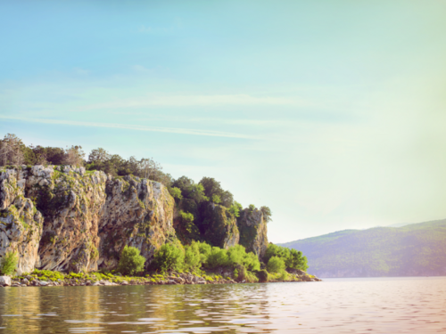 Ostrvo na kom živi 7.000 zmija nalazi se u komšiluku