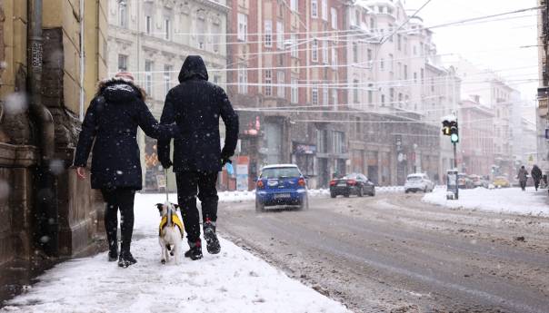 Otežano kretanje svim učesnicima u saobraćaju, snijeg rušio stabla