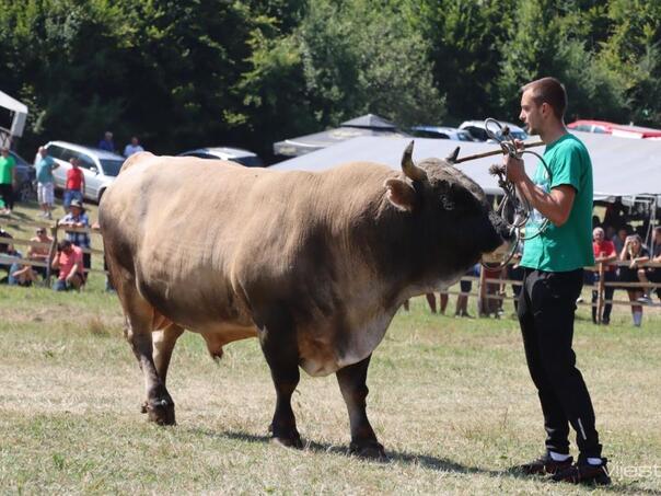 Otkazana Čevljanska korida, stiže zamjena: Spremne Olovske Luke
