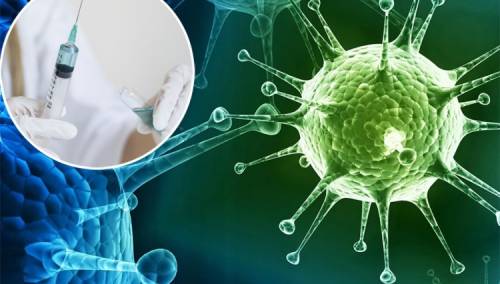 Otkrivena Ahilova peta svih virusa