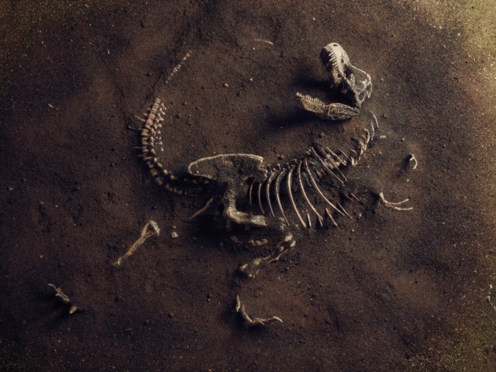 Otkrivena nova vrsta dinosaurusa: 'Zagonetni trkač' iznenadio naučnike