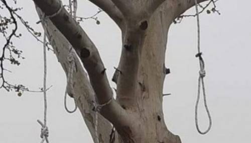 Otkriveno ko je postavio omče za vješanje u Zagrebu