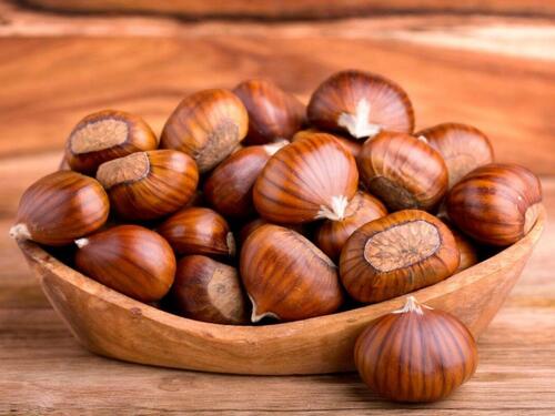 "Otrovni recept" preplavio TikTok: Ljudi pokušavaju jesti pogrešne kestene