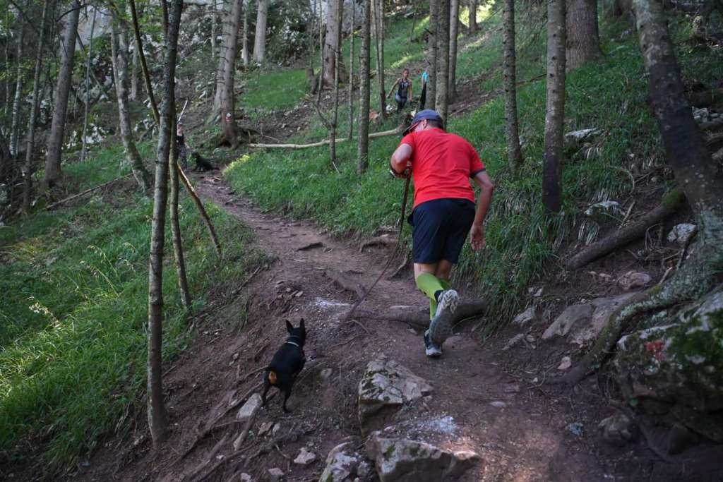 Otvoren 'Sarajevo Outdoor Festival', u fokusu promocija turističkih potencijala