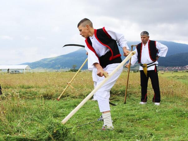 Otvorene prijave za natjecanje kosača na Kupresu