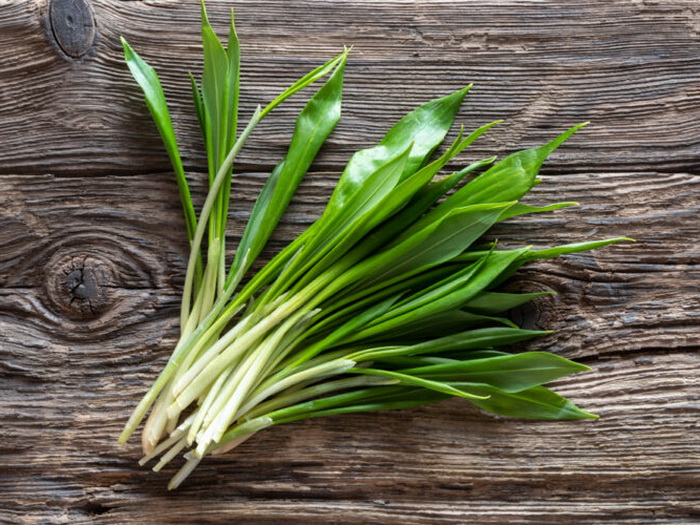 Ova biljka čisti krv, liječi pluća i ubija viruse