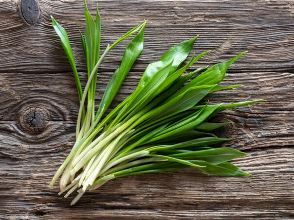 Ova biljka čisti krv, liječi pluća i ubija viruse