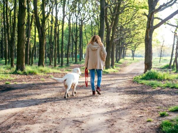 Ova biljka može ozbiljno ugroziti vašeg psa