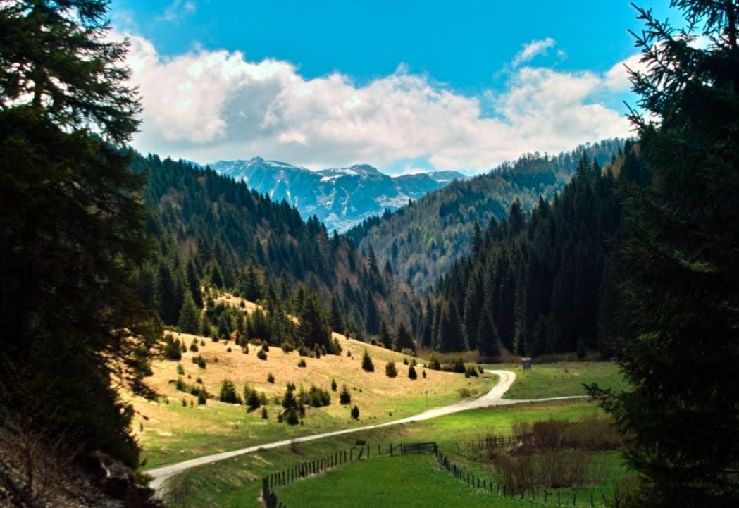 Ova planina u BiH izgleda nestvarno u jesen: Priroda kao iz bajke