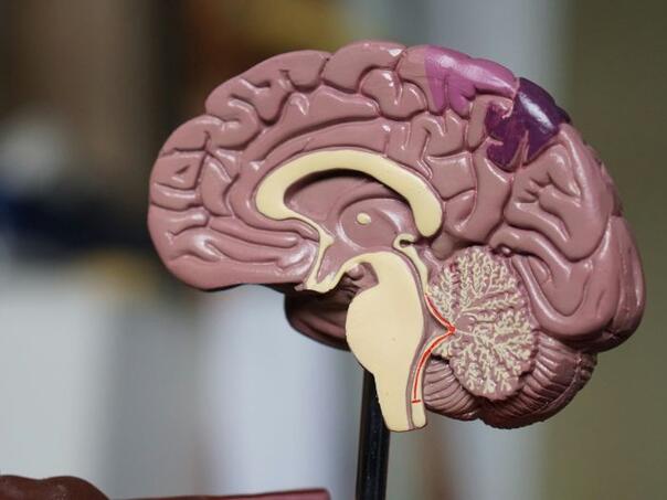 Ova radna navika može negativno da utiče na zdravlje mozga