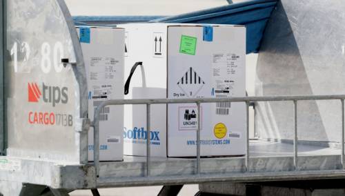 Ovako su raspoređene vakcine koje su do sada stigle u BiH