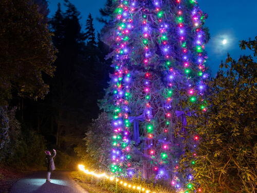 Ovo je najviše božićno drvce na svijetu
