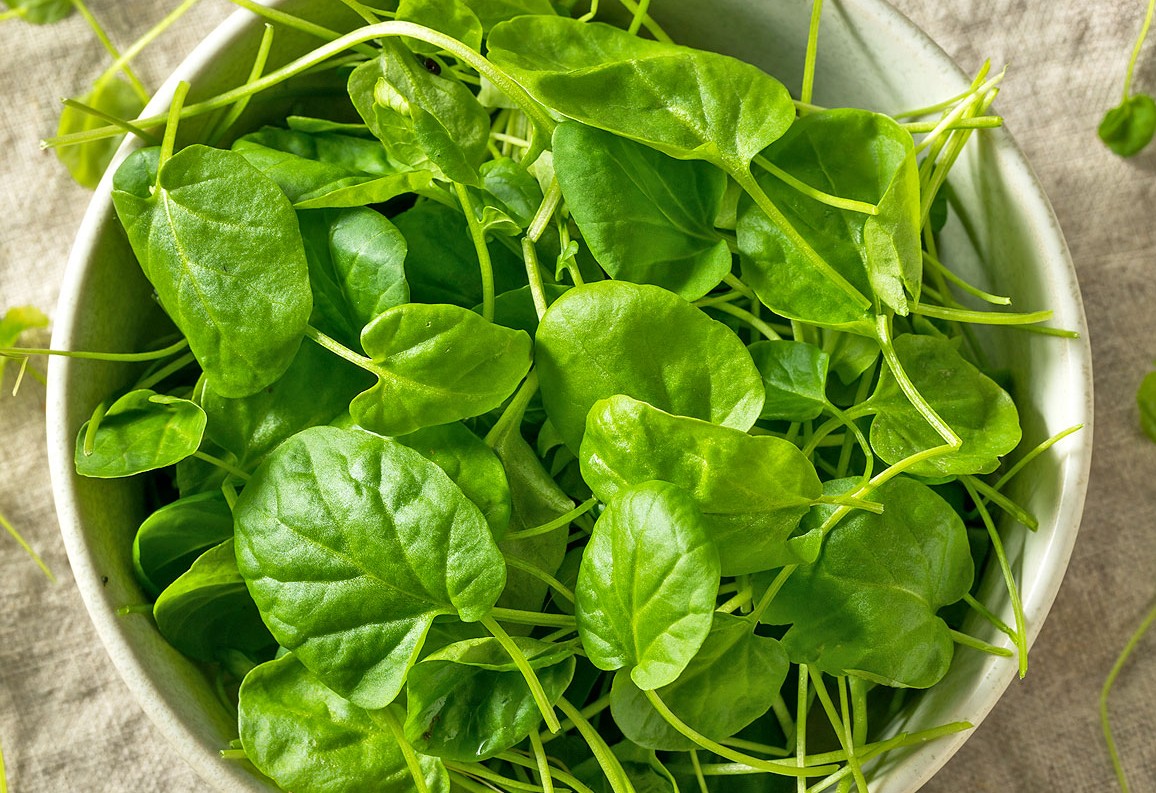 Ovo je najzdravije povrće na svijetu