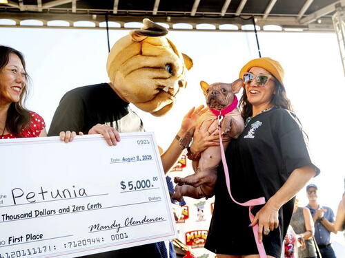 Ovo je Petunia, najružniji pas na svijetu