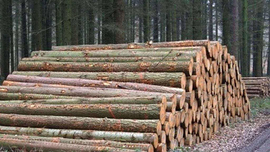 Pad proizvodnje i prodaje šumskih sortimenata u RS