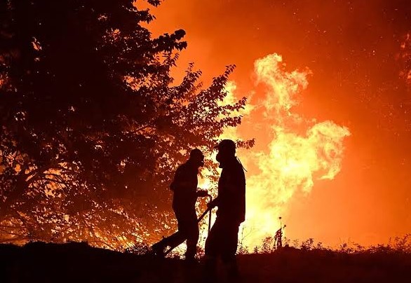 Pakao u Španiji: Šumski požar odnio 11 života, plamen i dalje prijeti