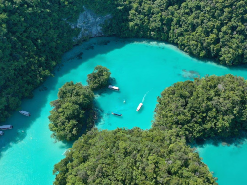 Palau spreman prihvatiti do 75 migranata iz SAD