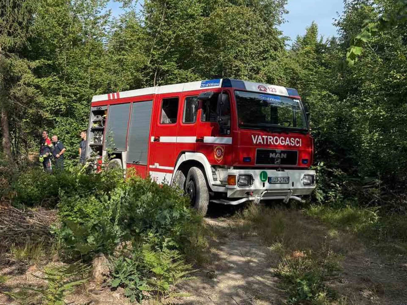 Pale korov, pa prave haos: Vatrogasci digli alarm
