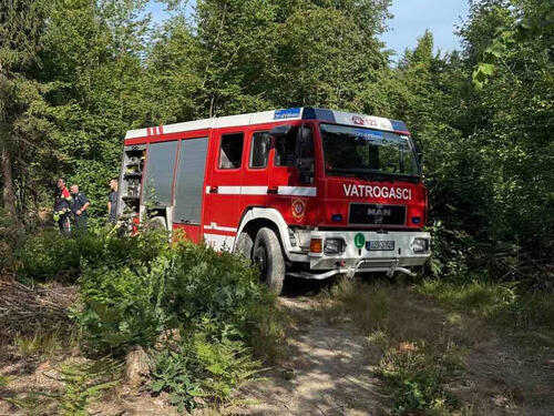 Pale korov, pa prave haos: Vatrogasci digli alarm