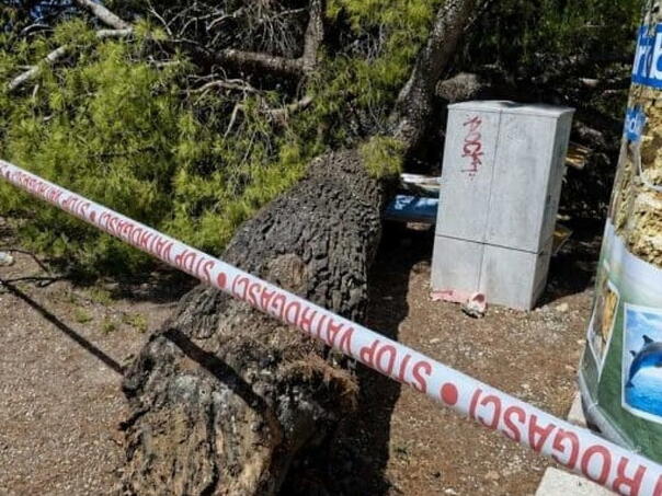 Palo stablo na popularnoj jadranskoj plaži: Povrijeđeno dvoje odraslih i dvoje djece