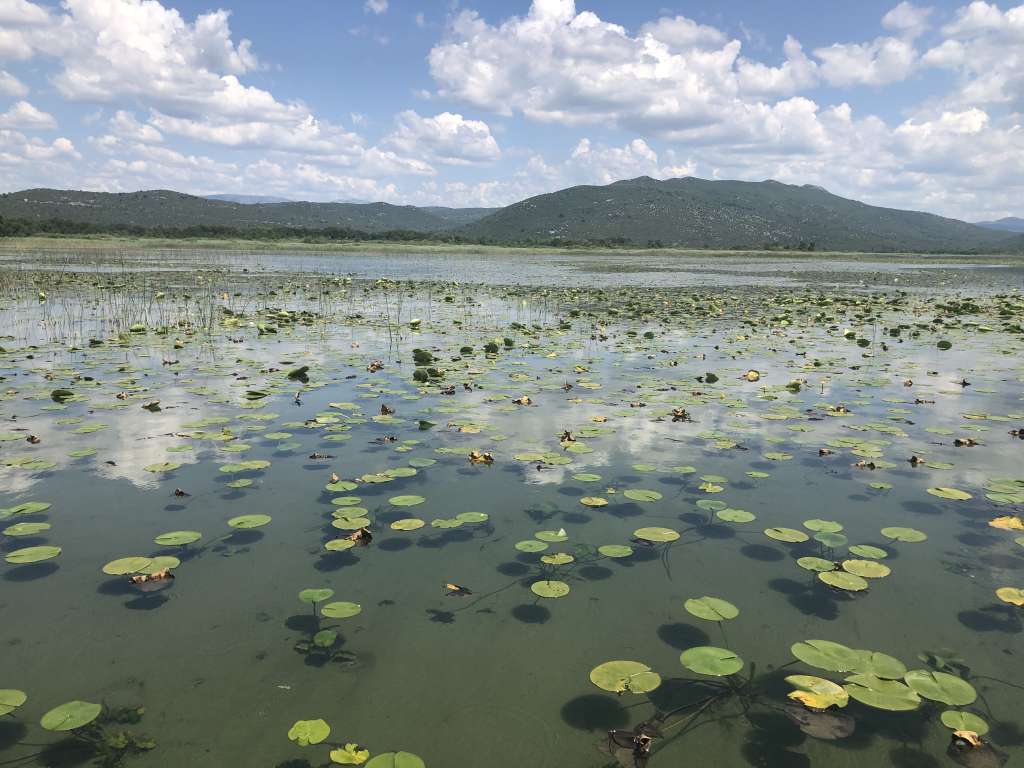 Park prirode Hutovo blato započeo s revitalizacijom Deranskog jezera
