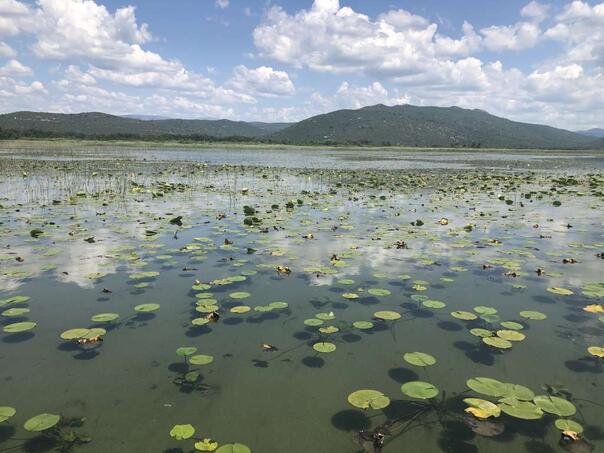 Park prirode Hutovo blato započeo s revitalizacijom Deranskog jezera