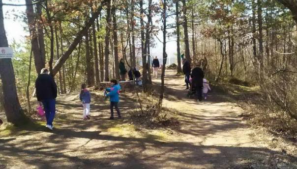 Park šuma Vrtaljica u Konjicu: Uživanje u prirodi za sve generacije