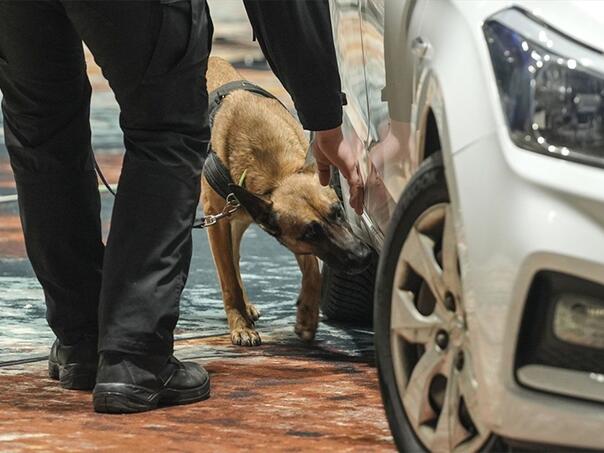 Pas Granične policije BiH prvak na takmičenju