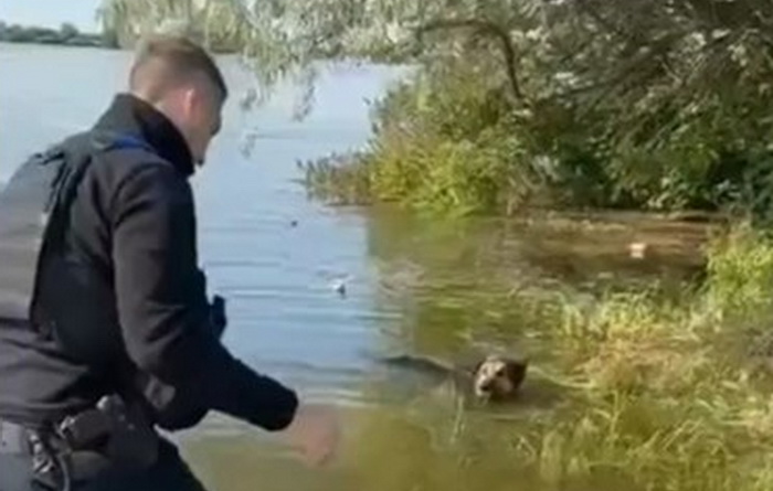Pas u poplavljenom Hersonu gušio se na lancu, spasio ga policajac