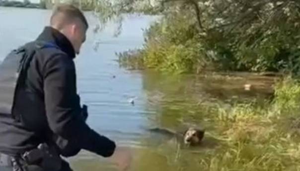 Pas u poplavljenom Hersonu gušio se na lancu, spasio ga policajac