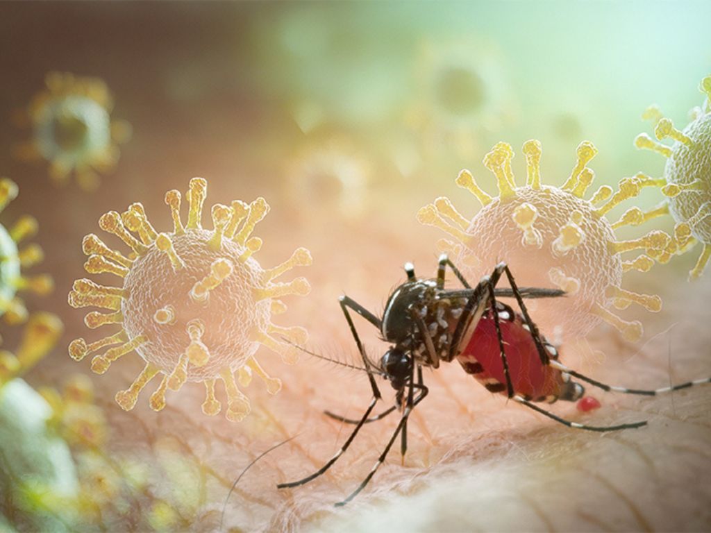 Pazite na komarce! Virus se širi Evropom, BiH mora u pripravnost 