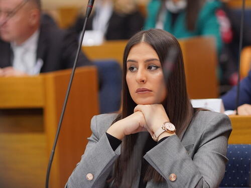 PDP upozorava: Ko iz vlasti zarađuje na kupovini hotela?