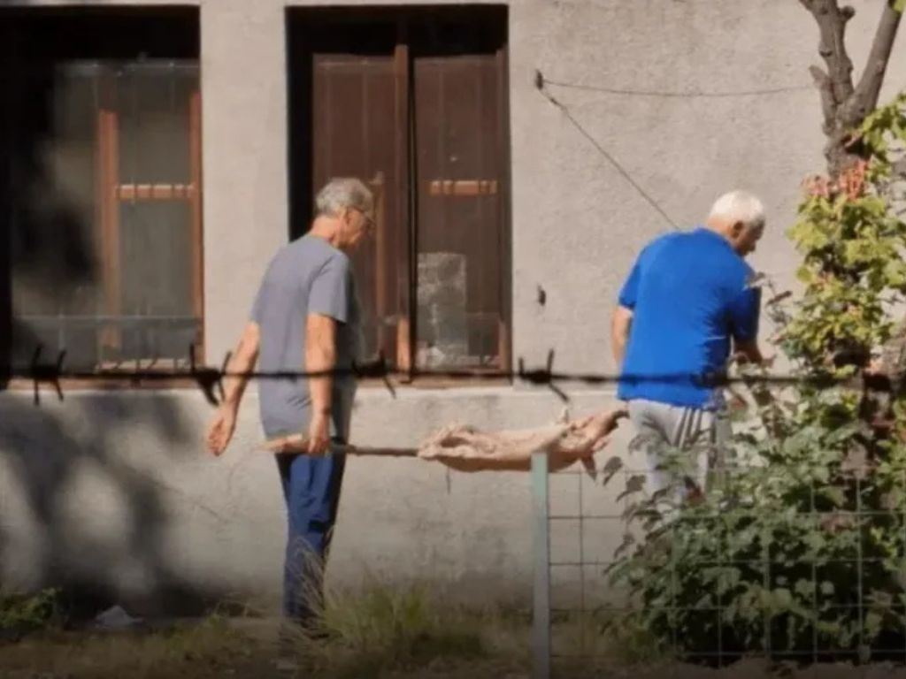 Pekao prase u Botaničkom vrtu Zemaljskog muzeja, stigla mu kazna