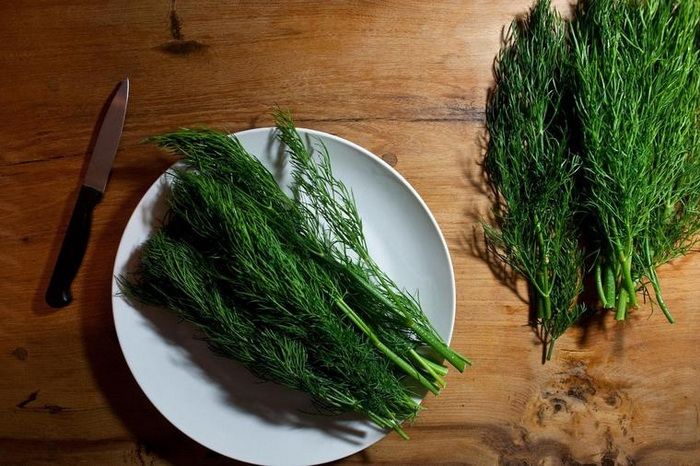 Pet aromatičnih biljaka koje čuvaju vaše zdravlje