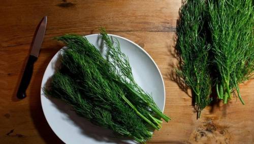 Pet aromatičnih biljaka koje čuvaju vaše zdravlje