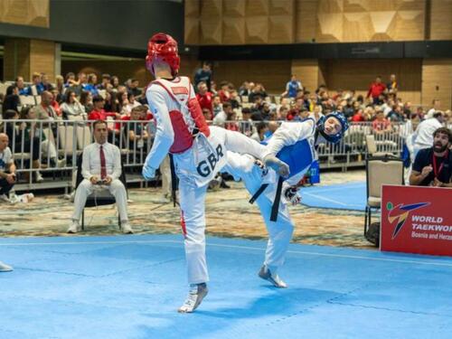 Pet medalja za taekwondoiste BiH na Bosnia Openu 2025