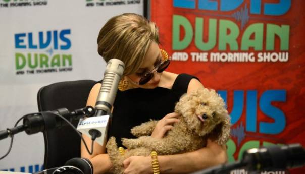 Pet osoba uhapšeno u vezi s otmicom pasa Lady Gage