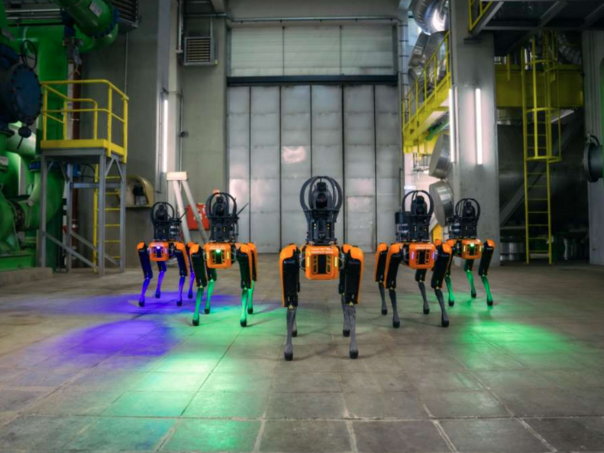 Pet robotskih pasa preuzima dio poslova u bečkim elektranama