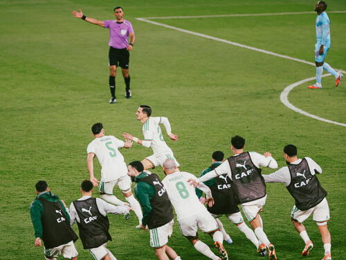 Petković odveo Alžir u četvrtfinale Afričkog kupa nacija