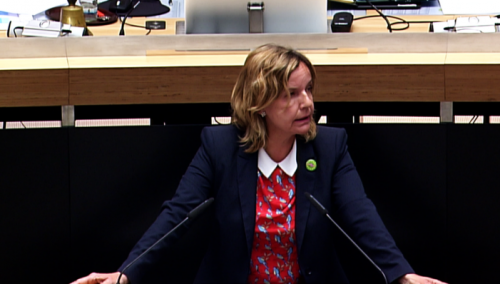 Pieroth-Manelli predlaže da bolnica u Berlinu prihvati pacijenata iz Italije