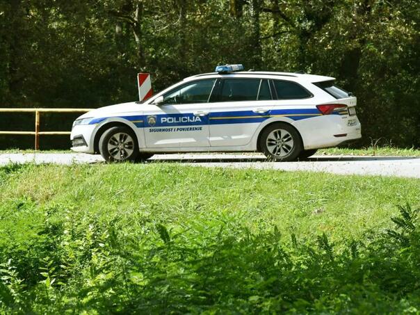 Pijani Poljaci pravili haos i vitlali sjekirom u primorskom mjestu