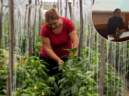 Pijunoviċ: FAO podržava BiH na putu pristupa resursima za ublažavanja posljedica klimatskih promjena