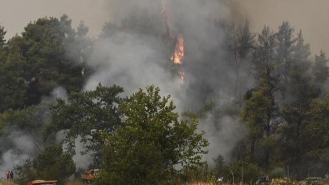 Pilot projekt sistema ranog upozoravanja na požare počeo s testiranjem u Jablanici