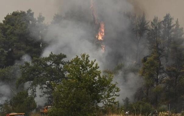 Pilot projekt sistema ranog upozoravanja na požare počeo s testiranjem u Jablanici