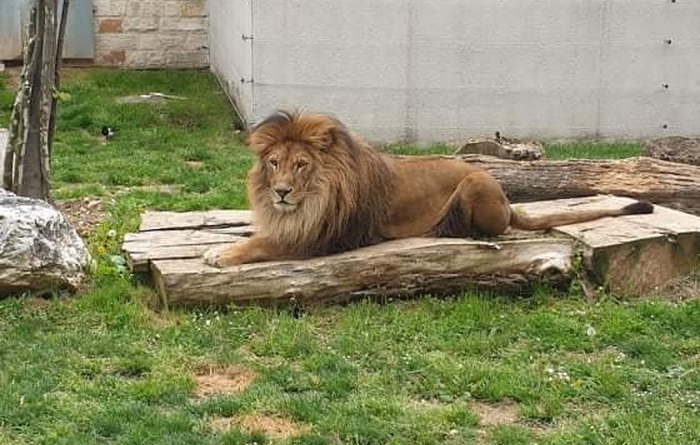Pionirska dolina i ZOO vrt sutra otvara svoje kapije za posjetioce