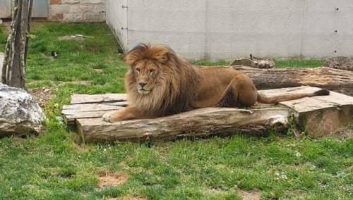 Pionirska dolina i ZOO vrt sutra otvara svoje kapije za posjetioce